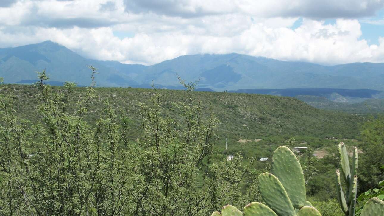 ¿De qué muere la gente en Tamaulipas? Inegi revela cifras sobre fallecimientos